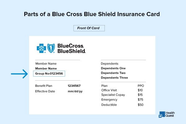 Parts of a Blue Cross Blue Shield insurance card with labeled sections for member ID, group number, plan type, and co-pays